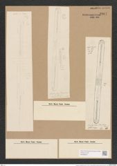 Amphipleura weissflogii (de-Toni-Nr.: Genus 10, Species 988) Zeichnungen Sammlung Grunow Nr. 1867 (NHMW-BOT-W0368818)